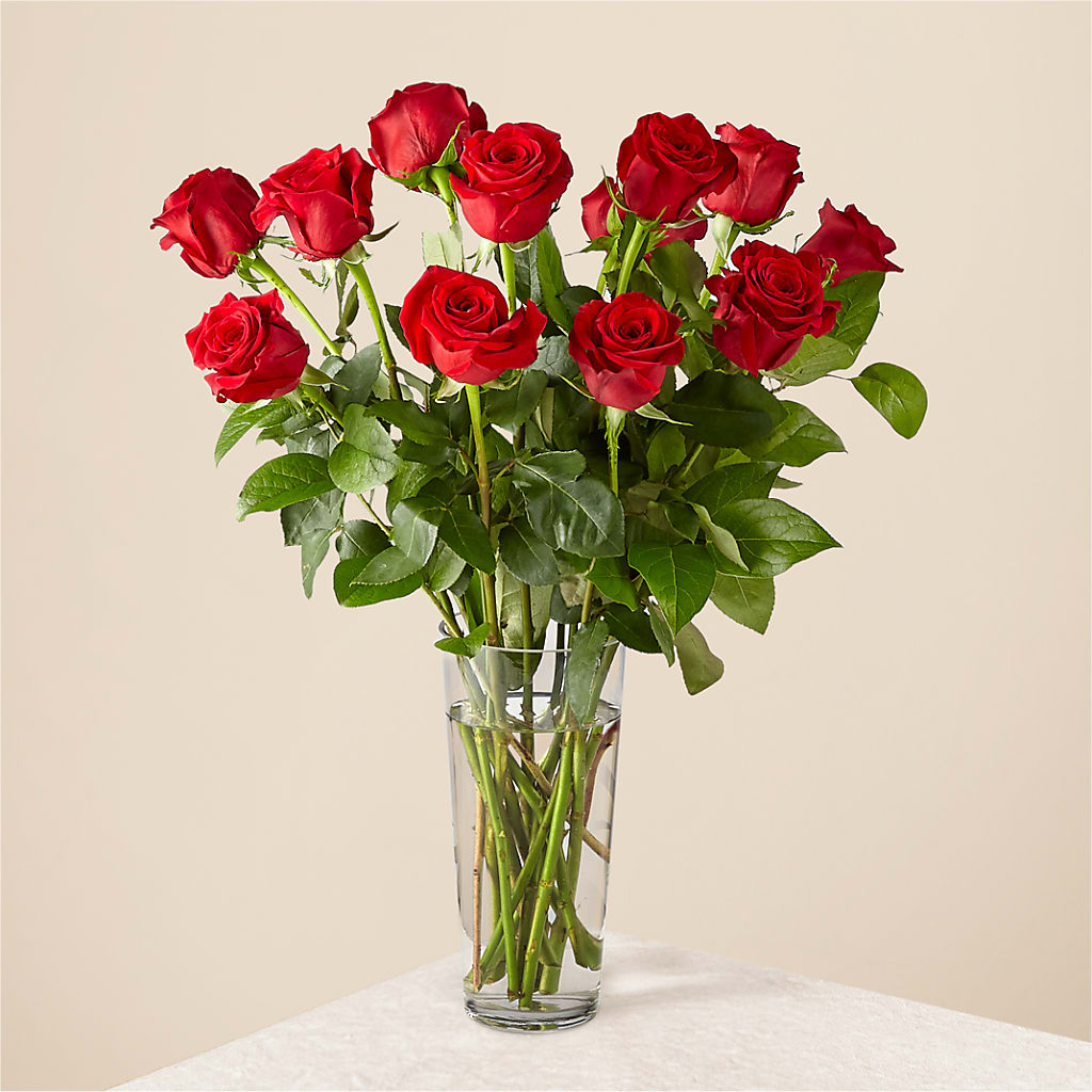 Long Stem Red Rose Bouquet – Garlington Florist, New Bedford MA