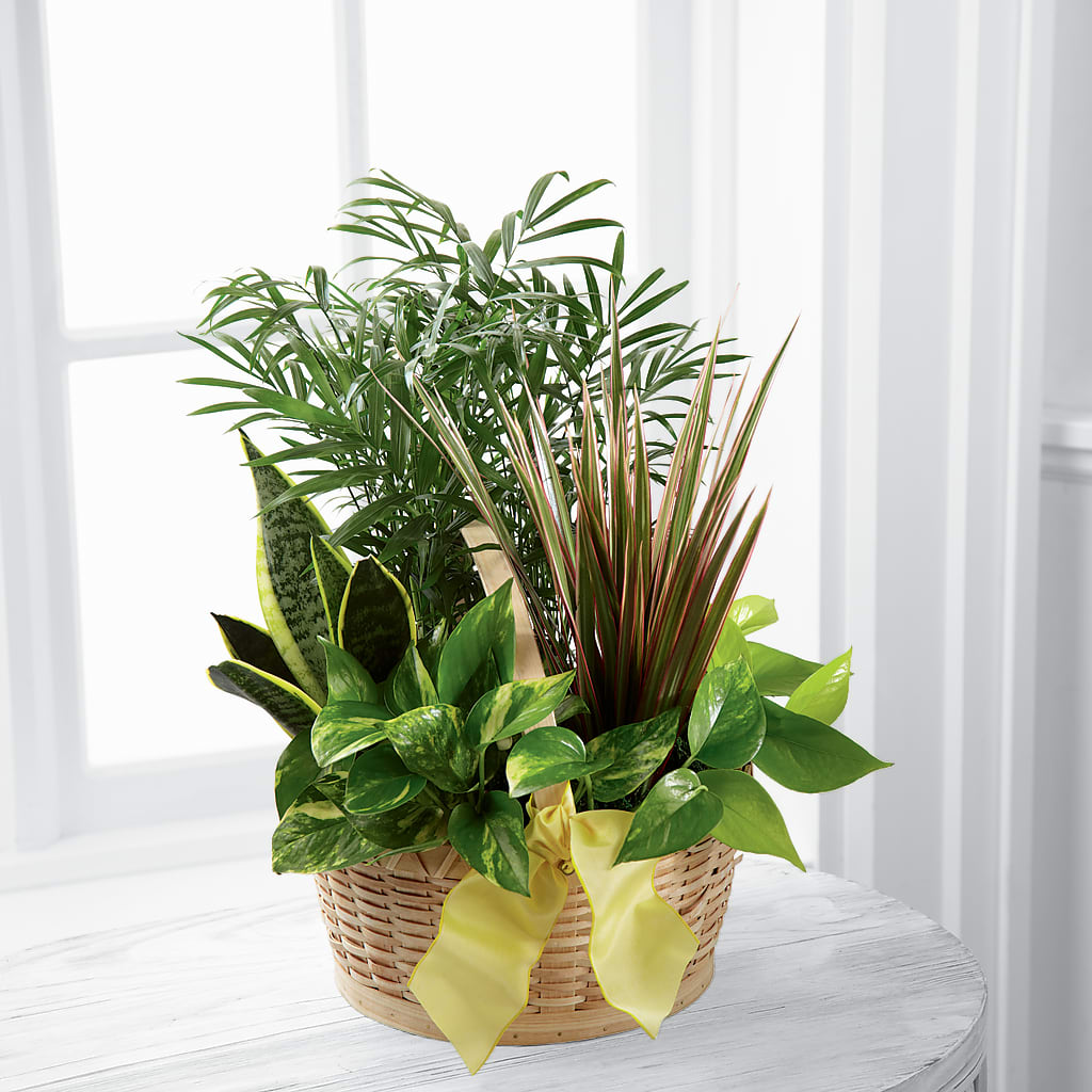 French Garden – Garlington Florist, New Bedford MA