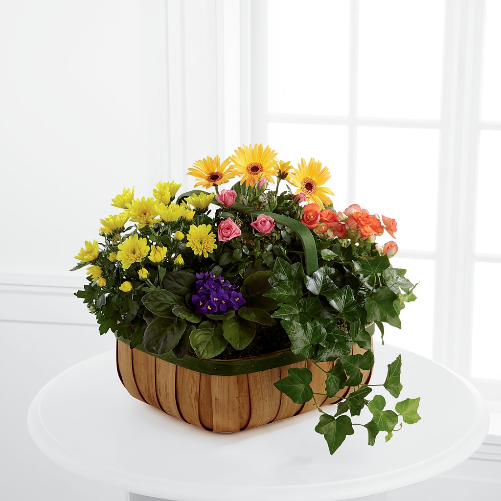 Gentle Blossoms Basket – Garlington Florist, New Bedford MA