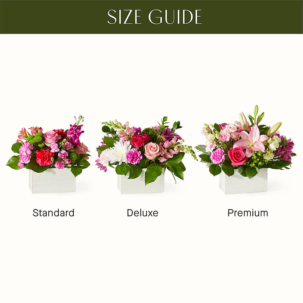 Sweetberry Box – A Florist Original – Garlington Florist, New Bedford MA