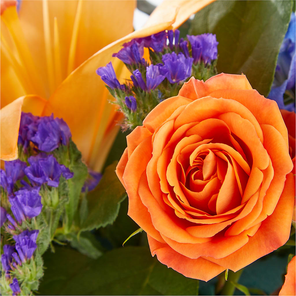 Radiant Citrus Box Bouquet – Garlington Florist, New Bedford MA