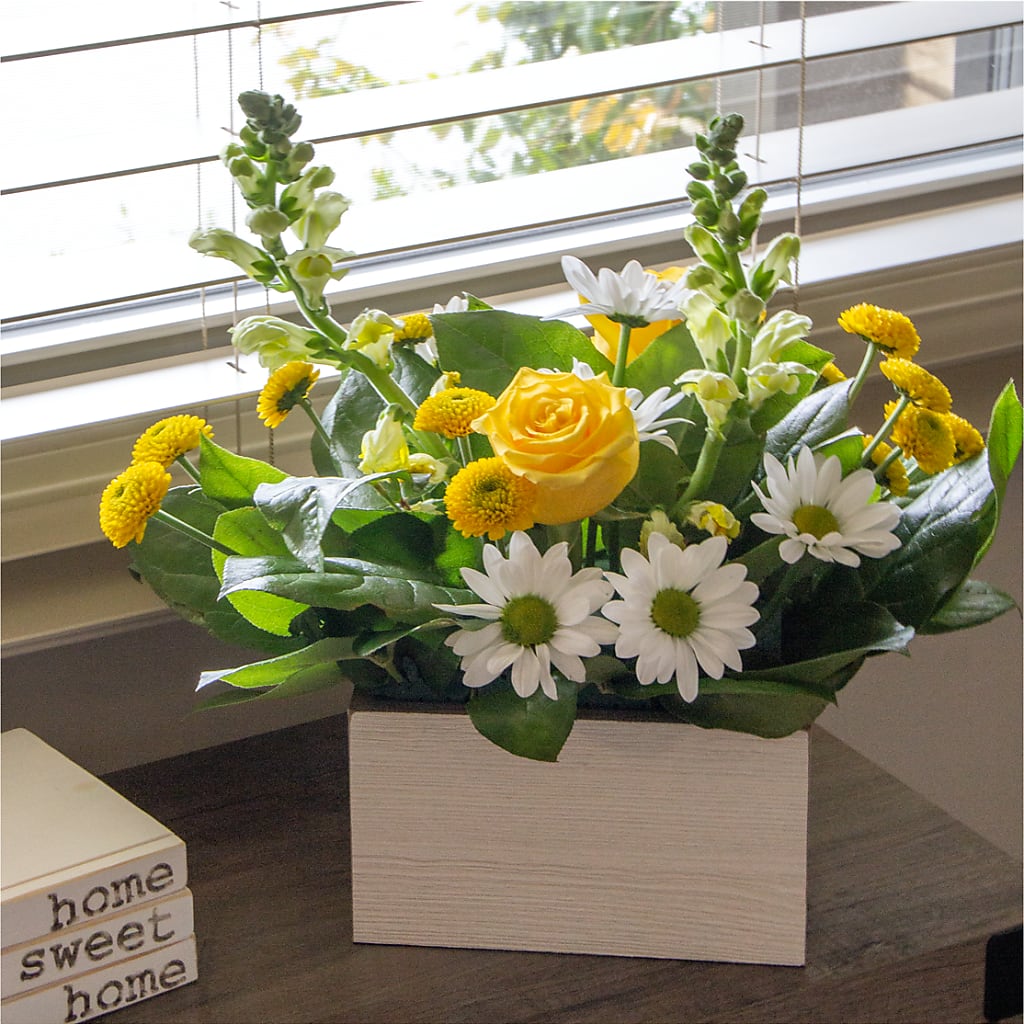 Sun Salutation Box Bouquet – Garlington Florist, New Bedford MA