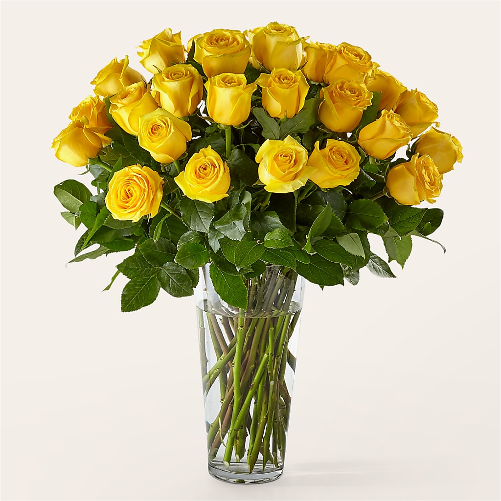 Long Stem Yellow Rose Bouquet – Garlington Florist, New Bedford MA