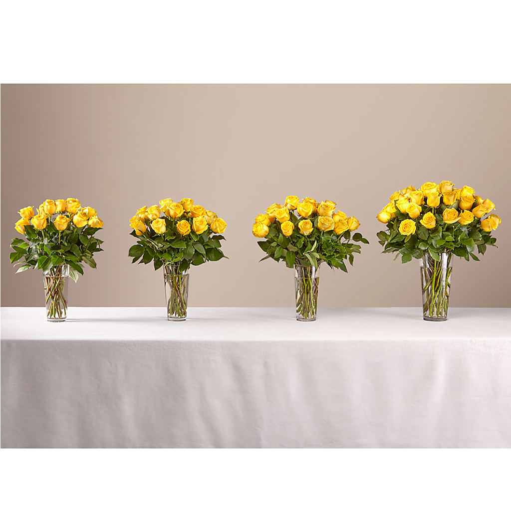 Long Stem Yellow Rose Bouquet – Garlington Florist, New Bedford MA