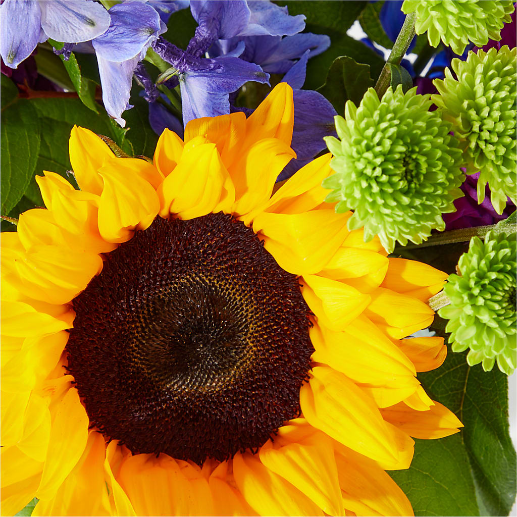 Catching Rays Bouquet – Garlington Florist, New Bedford MA