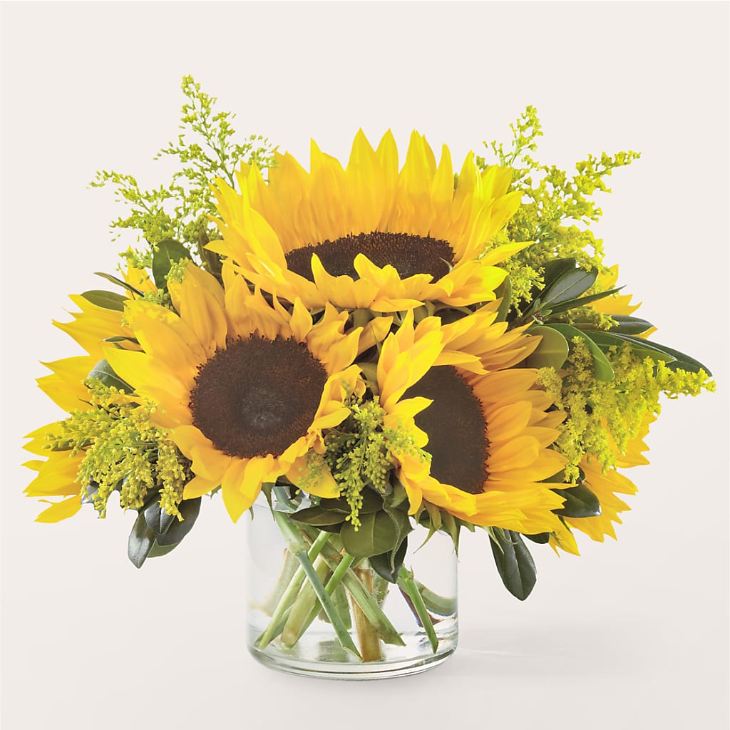 Beaming Sunflower Bouquet – Garlington Florist, New Bedford MA
