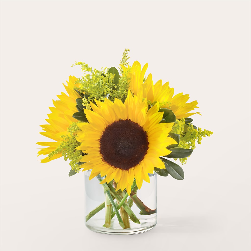 Beaming Sunflower Bouquet – Garlington Florist, New Bedford MA