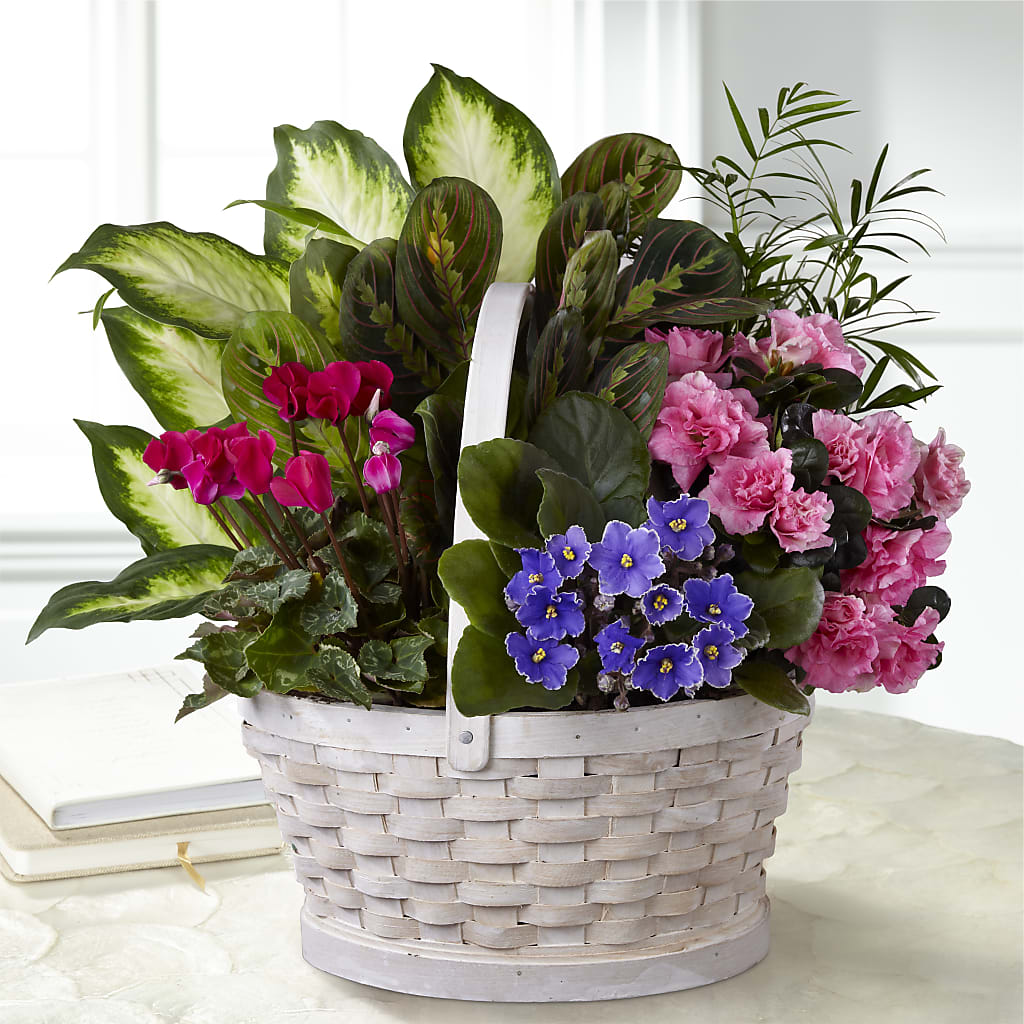 Peaceful Garden Planter – Garlington Florist, New Bedford MA