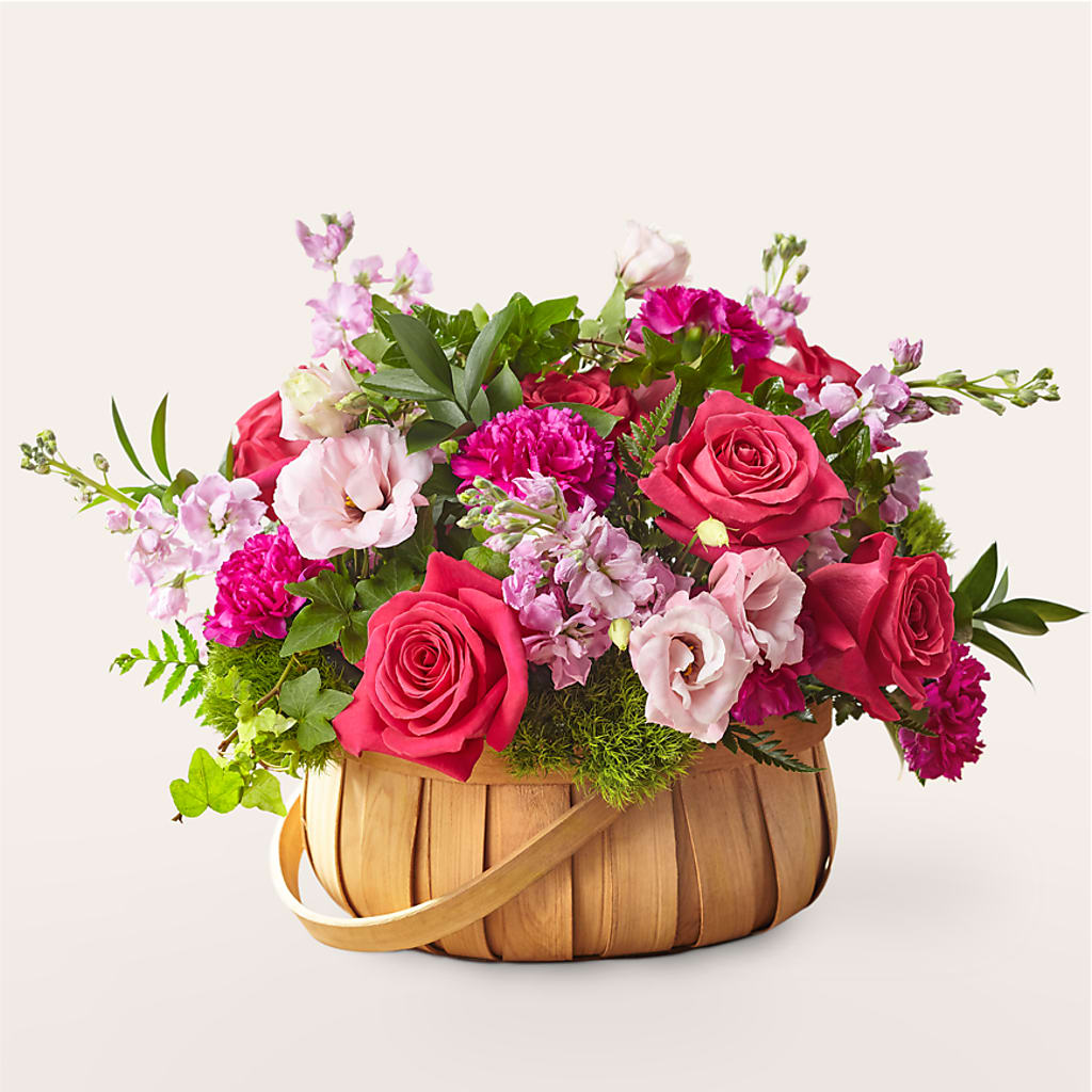 Radiance in Bloom Basket – Garlington Florist, New Bedford MA