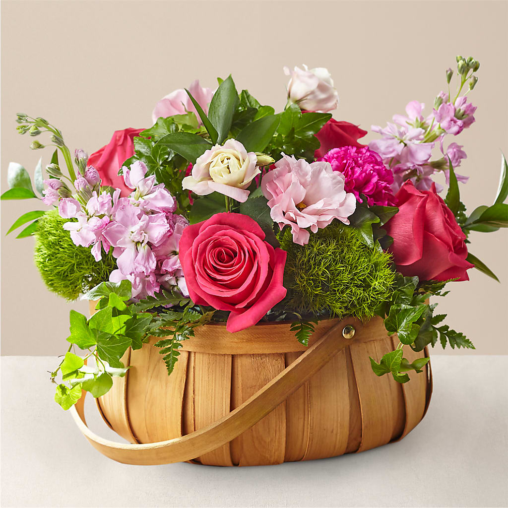 Radiance in Bloom Basket – Garlington Florist, New Bedford MA