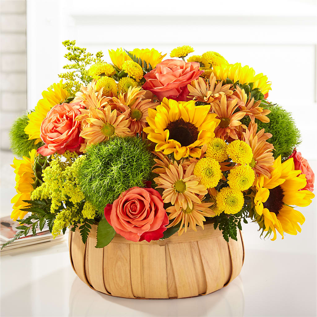 Harvest Sunflower Basket – Garlington Florist, New Bedford MA