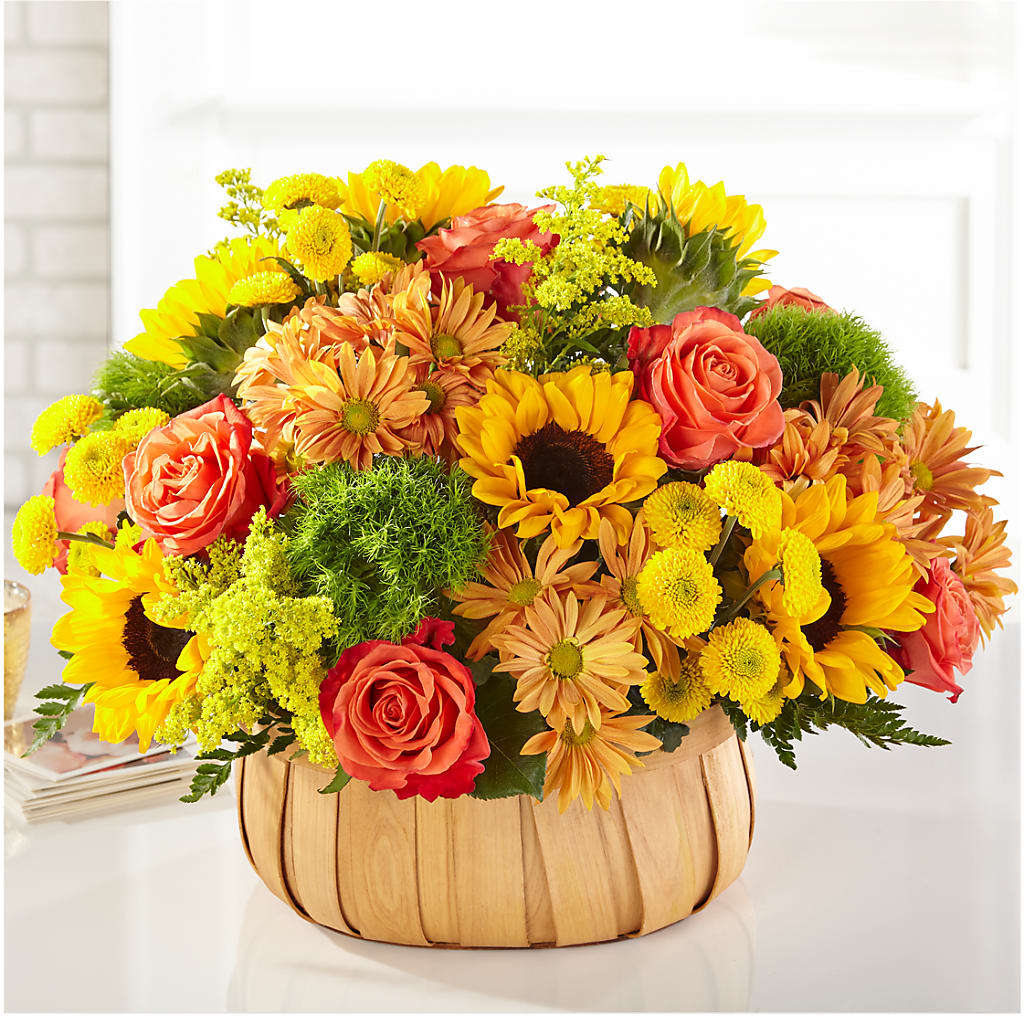 Harvest Sunflower Basket – Garlington Florist, New Bedford MA