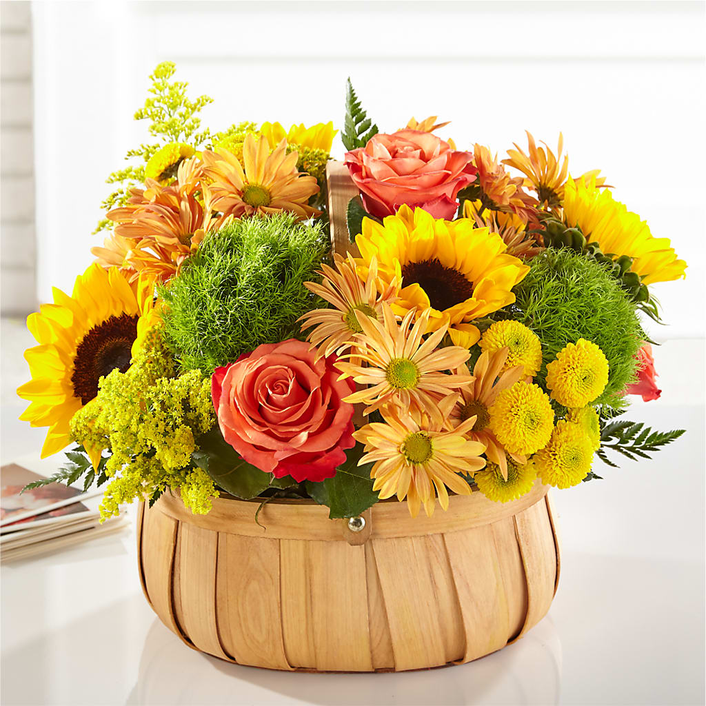Harvest Sunflower Basket – Garlington Florist, New Bedford MA