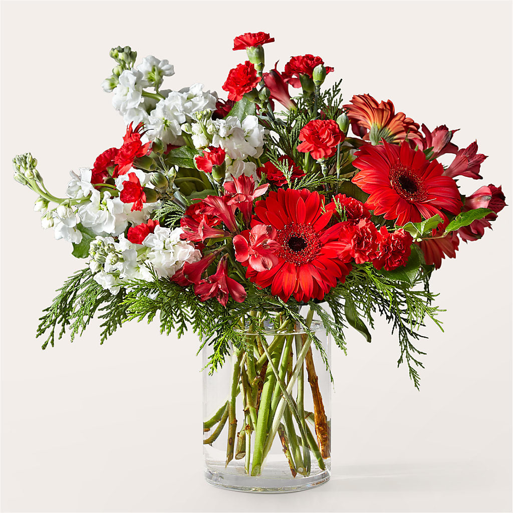 Holidaisy Bouquet – Garlington Florist, New Bedford MA