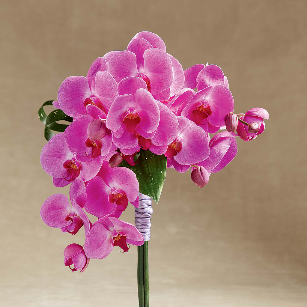 Glorious Bouquet – Garlington Florist, New Bedford MA