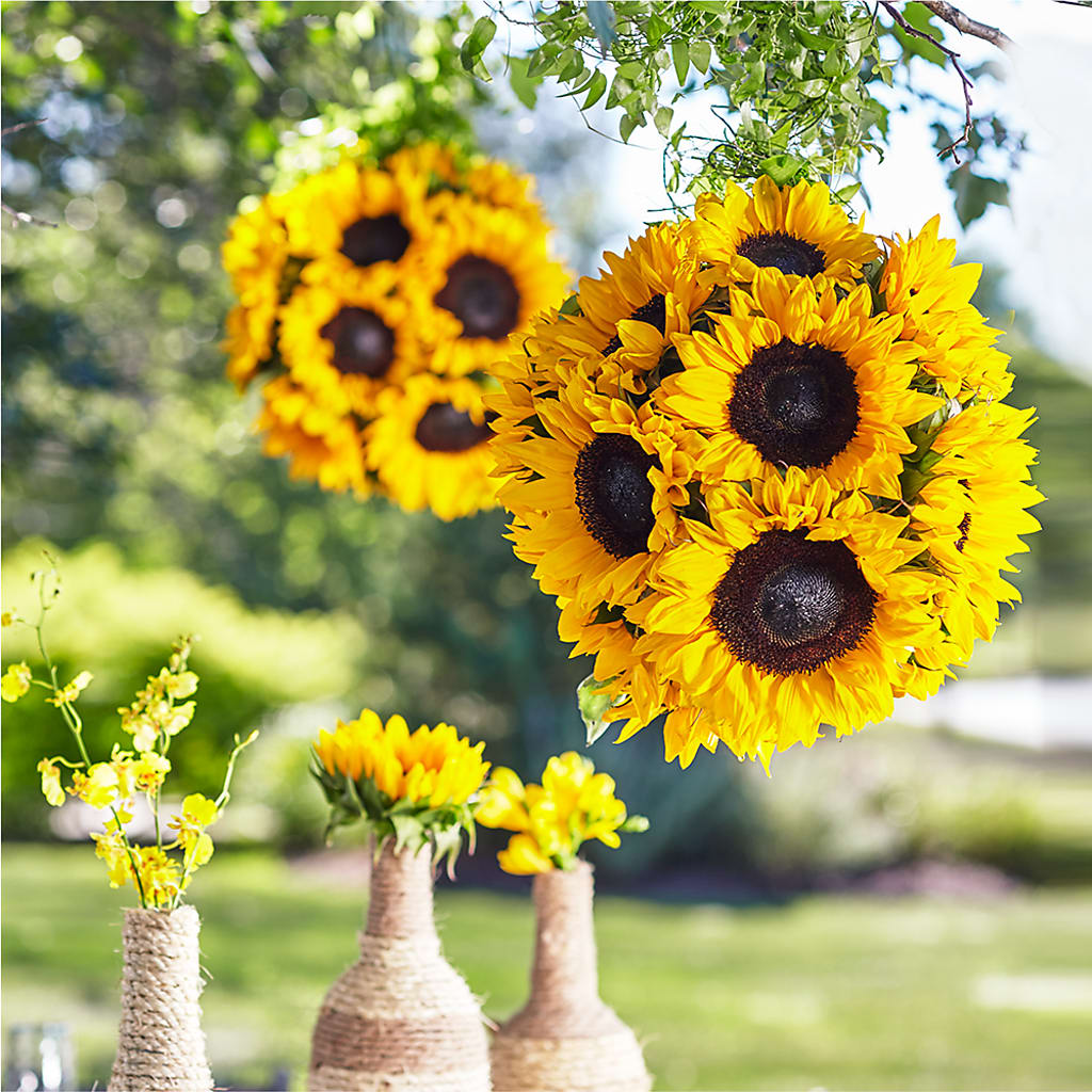 Sublime Garden Hanging Arrangement – Garlington Florist, New Bedford MA