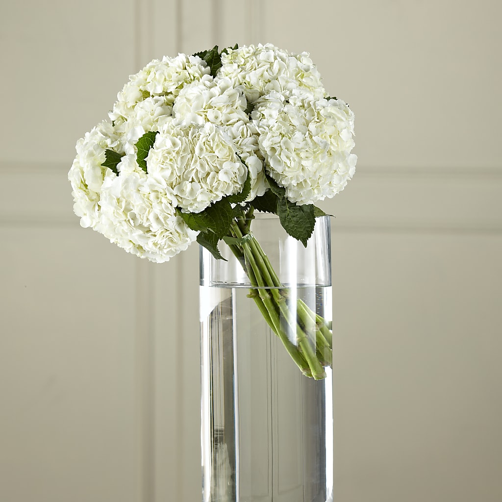 White Hydrangea Hand-Tied Bouquet – Garlington Florist, New Bedford MA