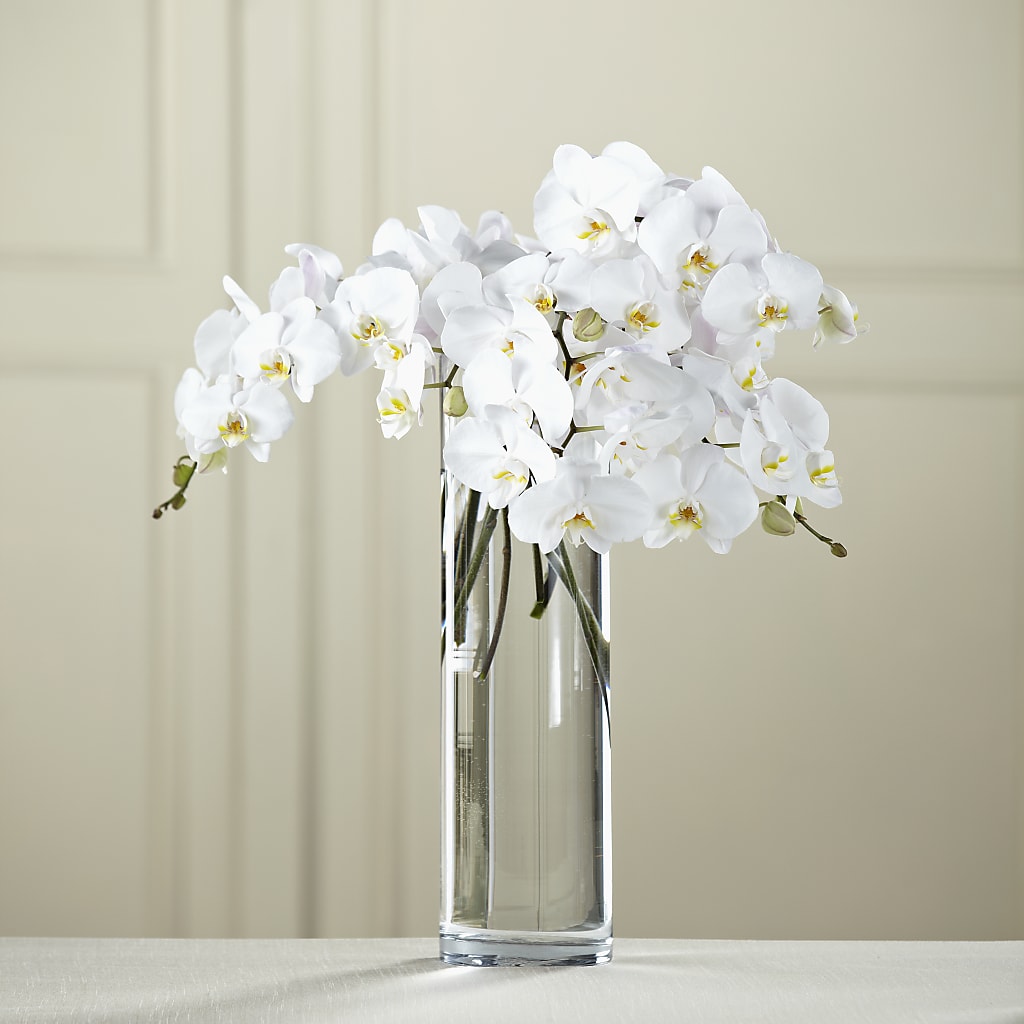 White Phalaenopsis Bouquet – Garlington Florist, New Bedford MA