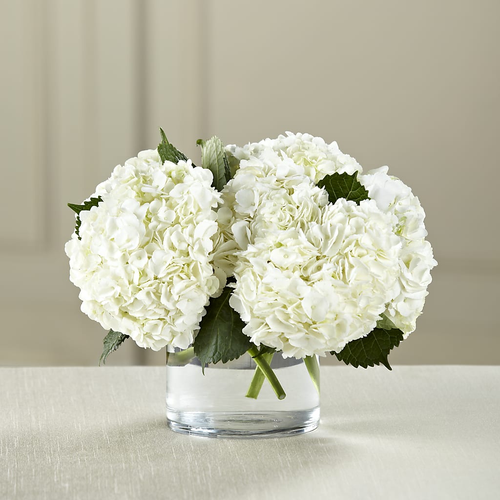 White Hydrangea Bouquet – Garlington Florist, New Bedford MA