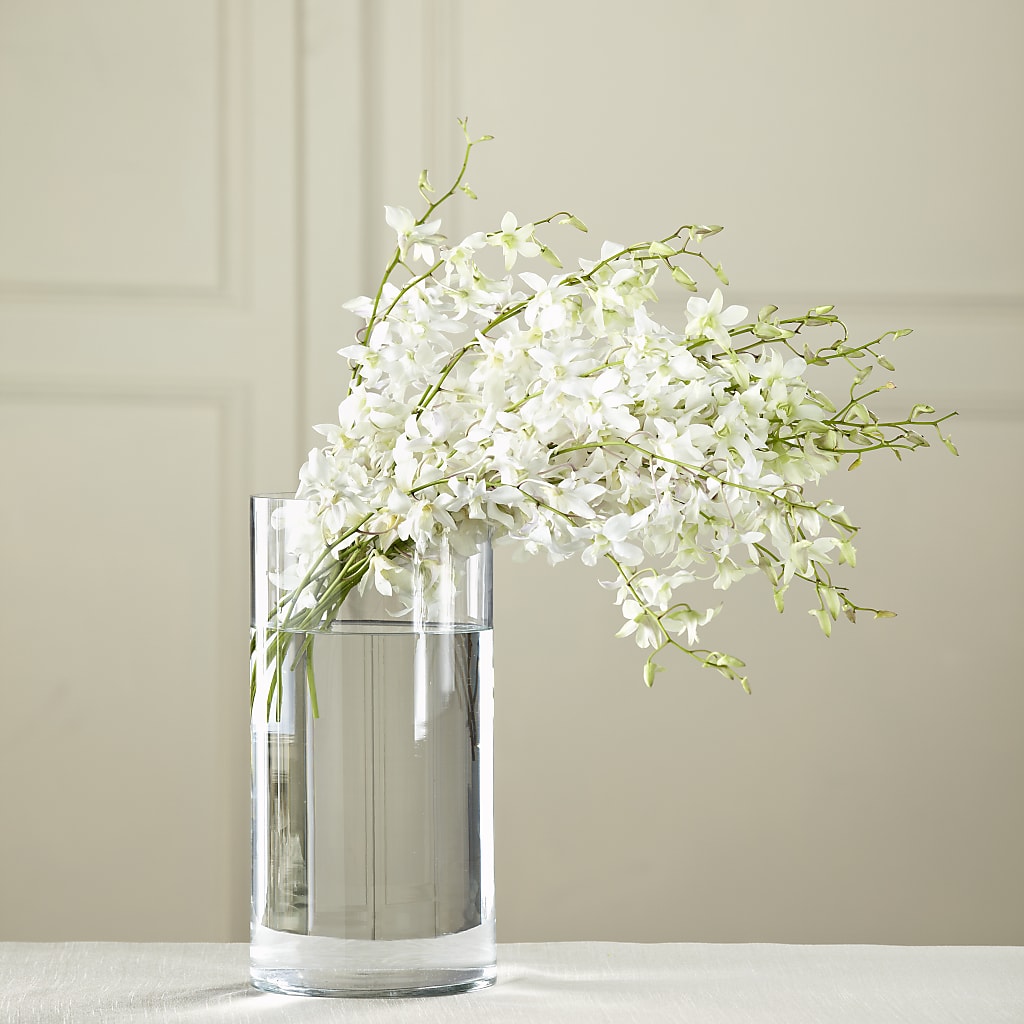 White Dendrobium Bouquet – Garlington Florist, New Bedford MA