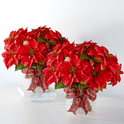 Happiest Holidays Poinsettia Bundle –  Garlington Florist, New Bedford MA