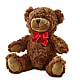 Adorable Plush Bear –  Garlington Florist, New Bedford MA