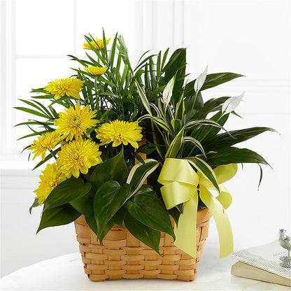 Loving Light Dishgarden –  Garlington Florist, New Bedford MA