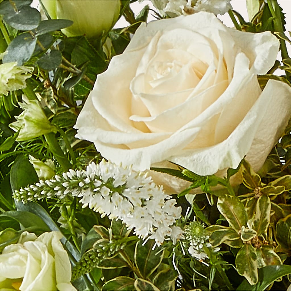 Cashmere Bouquet –  Garlington Florist, New Bedford MA