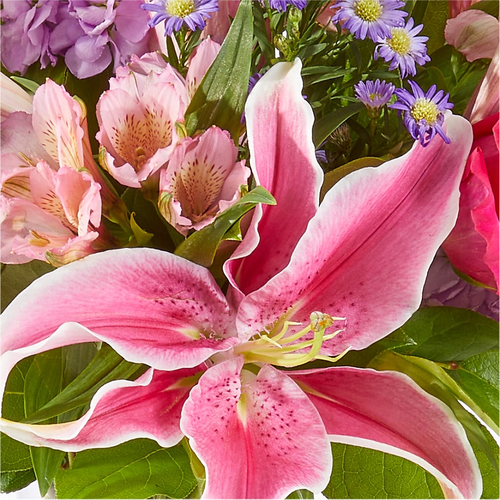 Written in the Stars Bouquet –  Garlington Florist, New Bedford MA