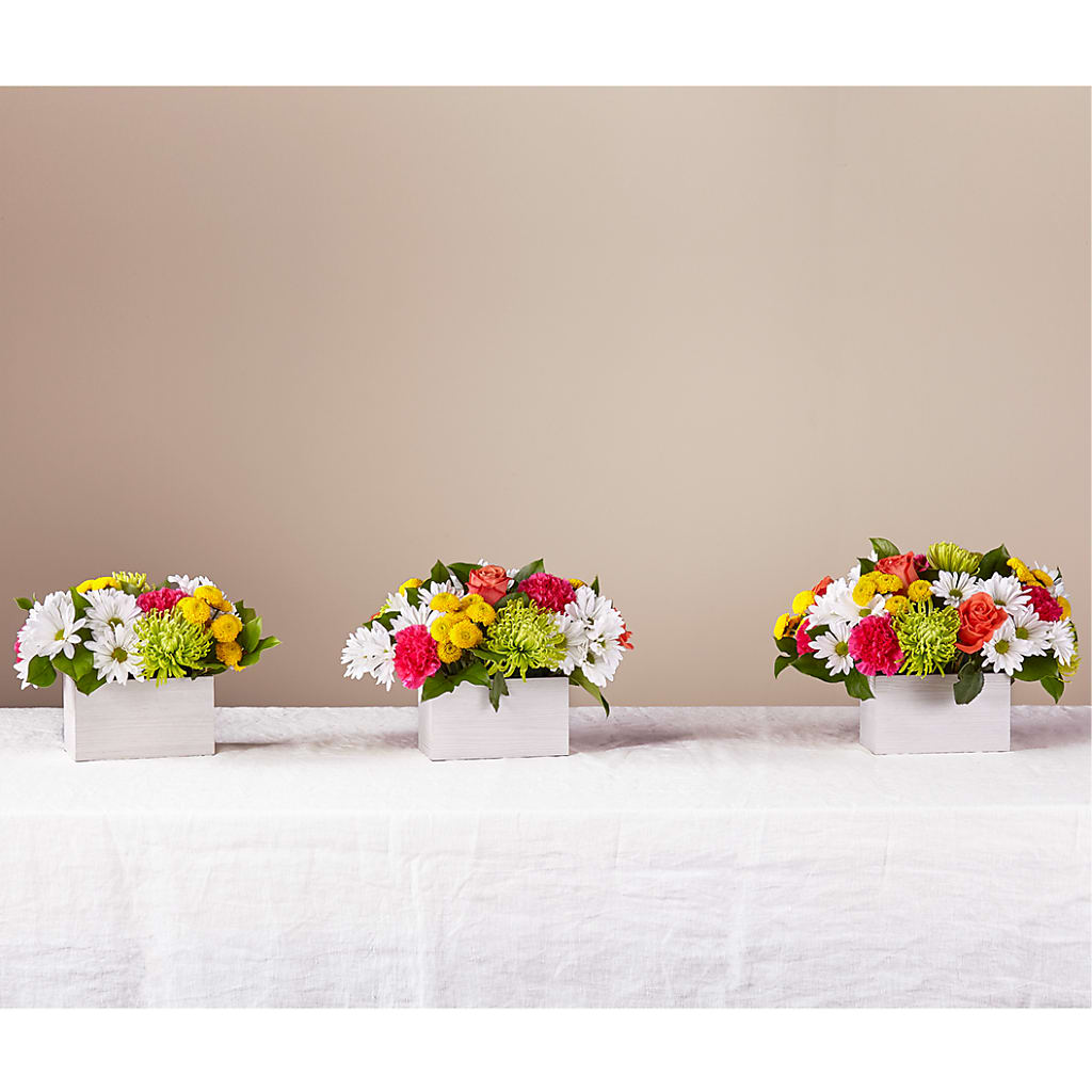 Sorbet Bouquet –  Garlington Florist, New Bedford MA