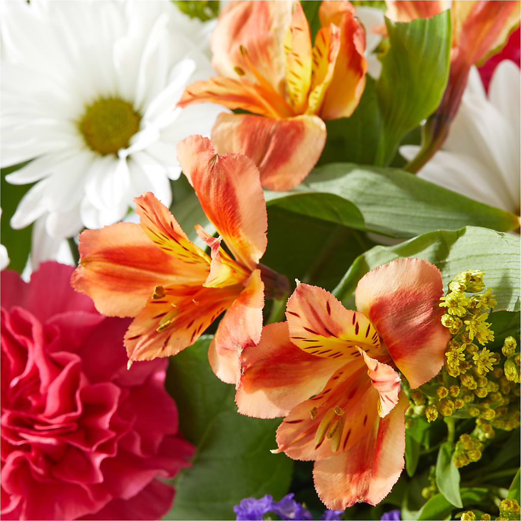 Oopsie Daisy Box Bouquet –  Garlington Florist, New Bedford MA