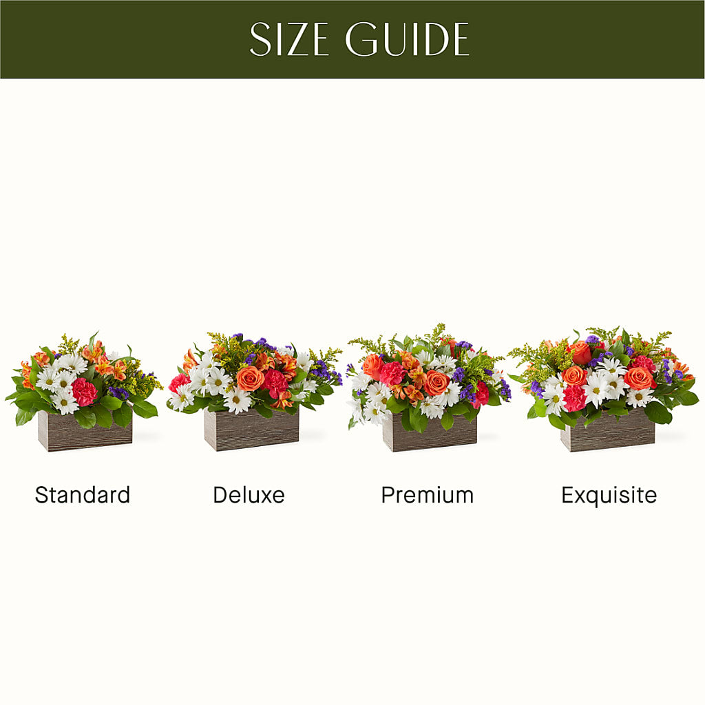 Oopsie Daisy Box Bouquet –  Garlington Florist, New Bedford MA