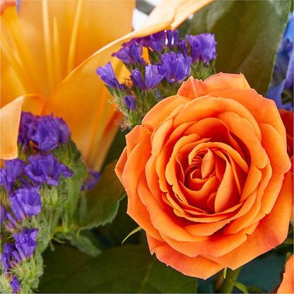 Radiant Citrus Box Bouquet –  Garlington Florist, New Bedford MA