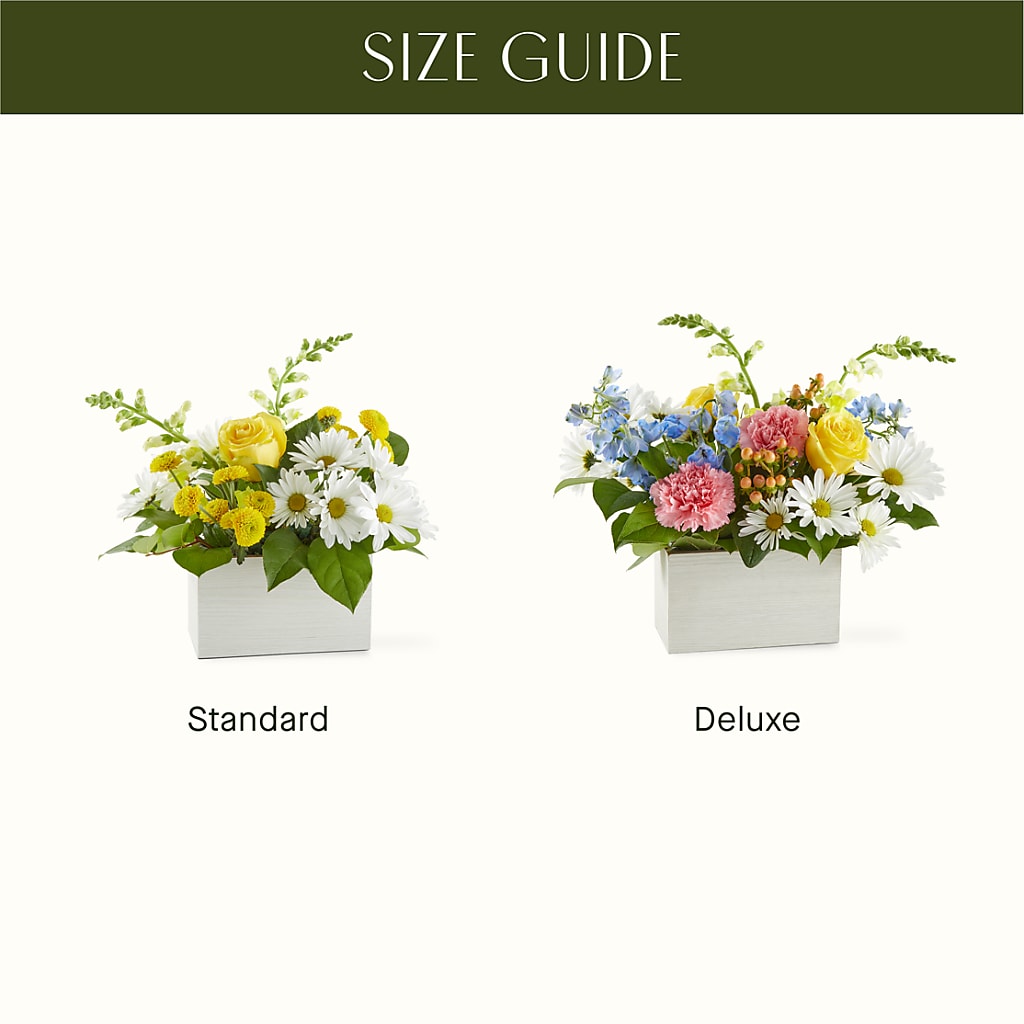 Sun Salutation Box Bouquet –  Garlington Florist, New Bedford MA