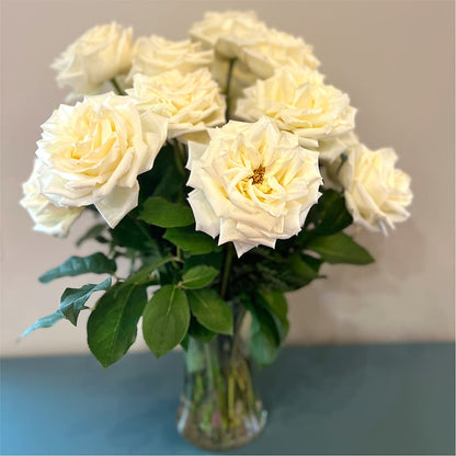 Long Stem Yellow Rose Bouquet –  Garlington Florist, New Bedford MA