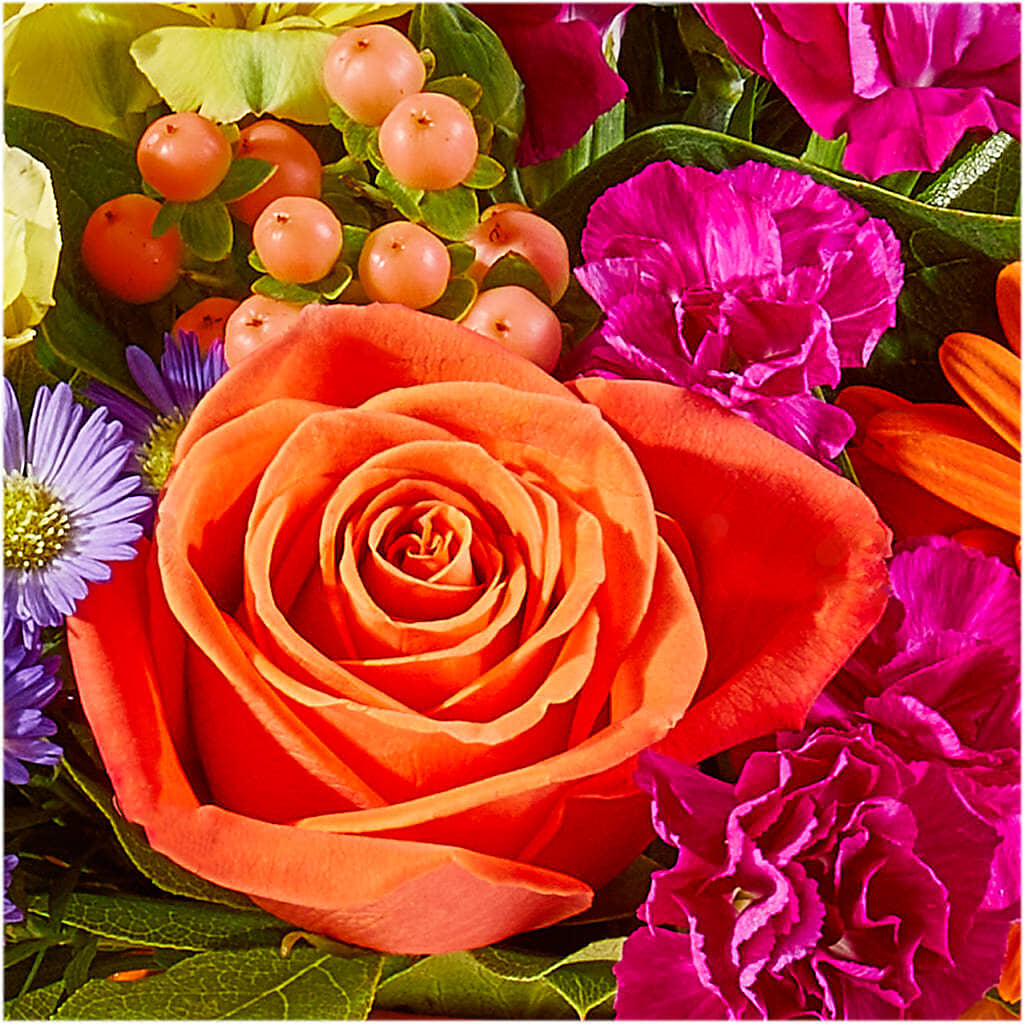 Tricks & Treats Pumpkin –  Garlington Florist, New Bedford MA