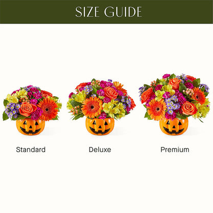 Tricks & Treats Pumpkin –  Garlington Florist, New Bedford MA