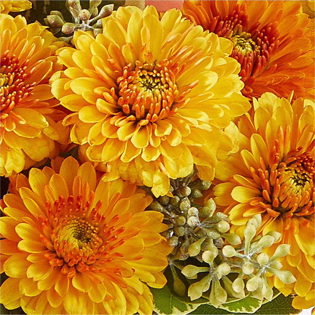 Peachy Pumpkin –  Garlington Florist, New Bedford MA