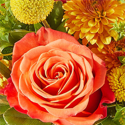 Gourdgeous Pumpkin –  Garlington Florist, New Bedford MA