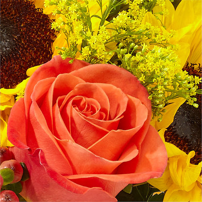 Pick of the Patch Pumpkin Bouquet –  Garlington Florist, New Bedford MA