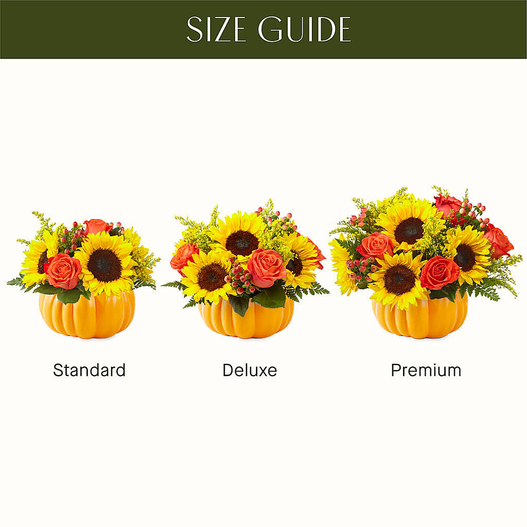 Pick of the Patch Pumpkin Bouquet –  Garlington Florist, New Bedford MA