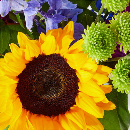 Catching Rays Bouquet –  Garlington Florist, New Bedford MA