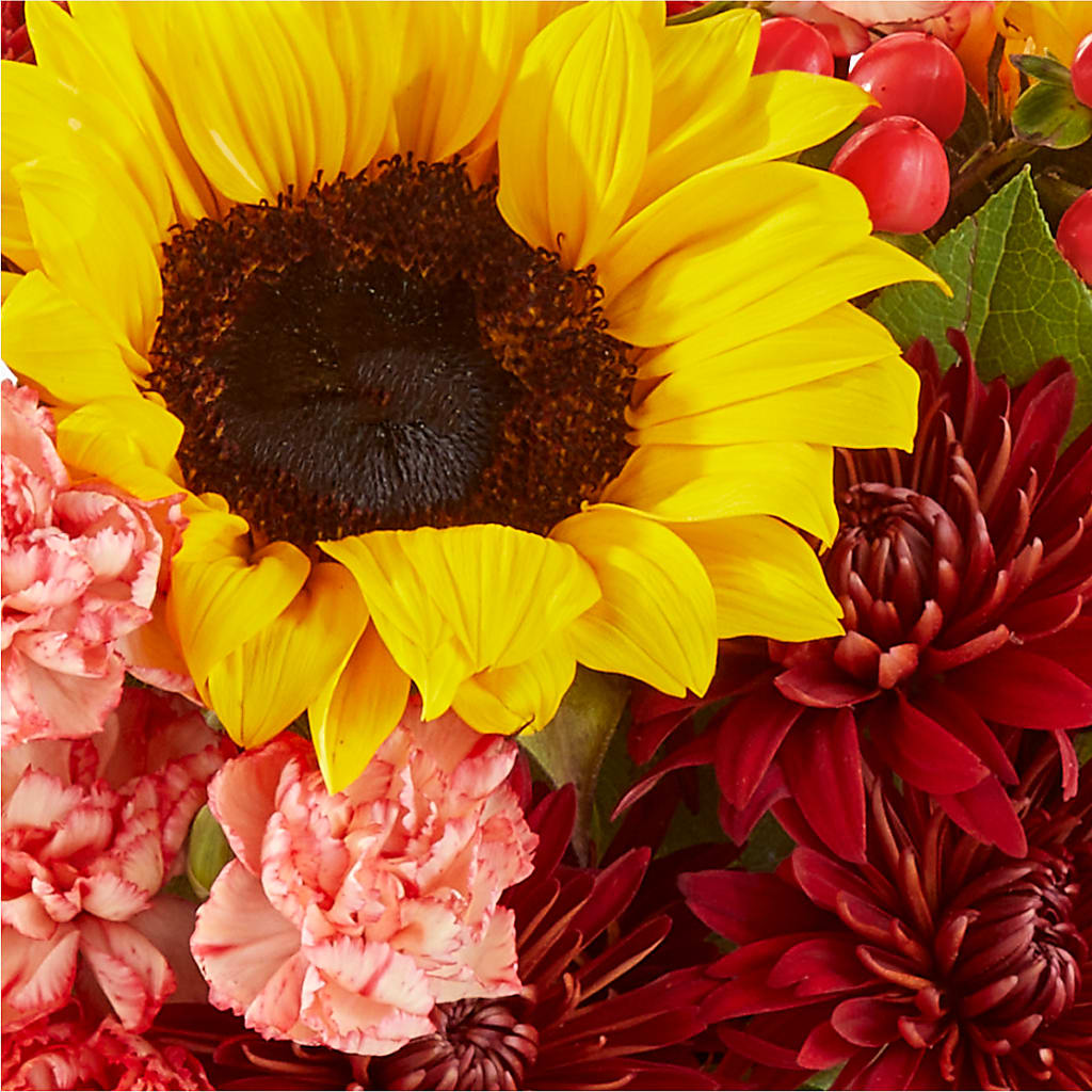 Fresh Cider Bouquet –  Garlington Florist, New Bedford MA