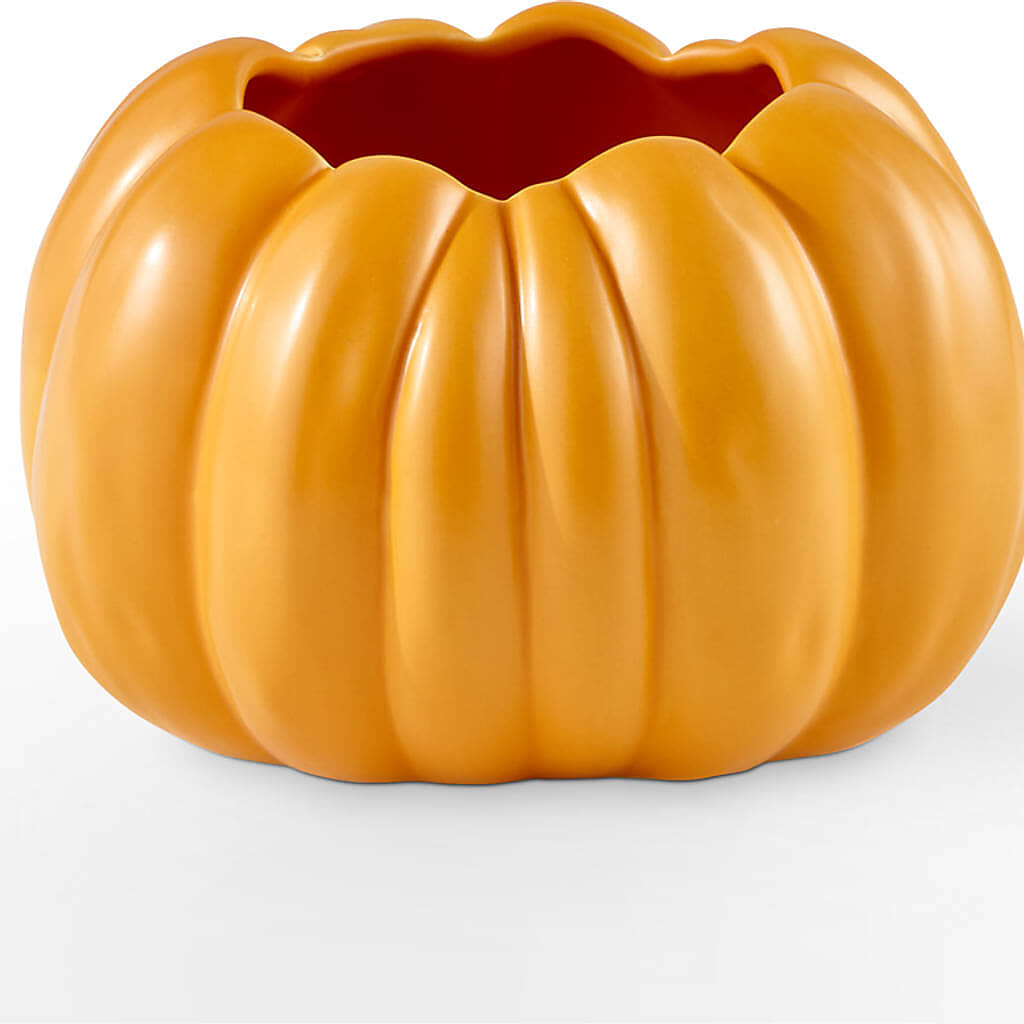 Golden Gourd Pumpkin Bouquet –  Garlington Florist, New Bedford MA