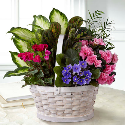 Peaceful Garden Planter –  Garlington Florist, New Bedford MA