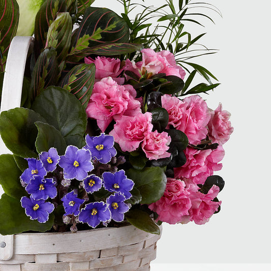 Peaceful Garden Planter –  Garlington Florist, New Bedford MA