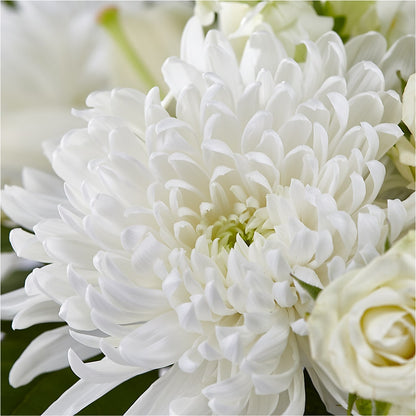 Classic Ivory – A Florist Original –  Garlington Florist, New Bedford MA