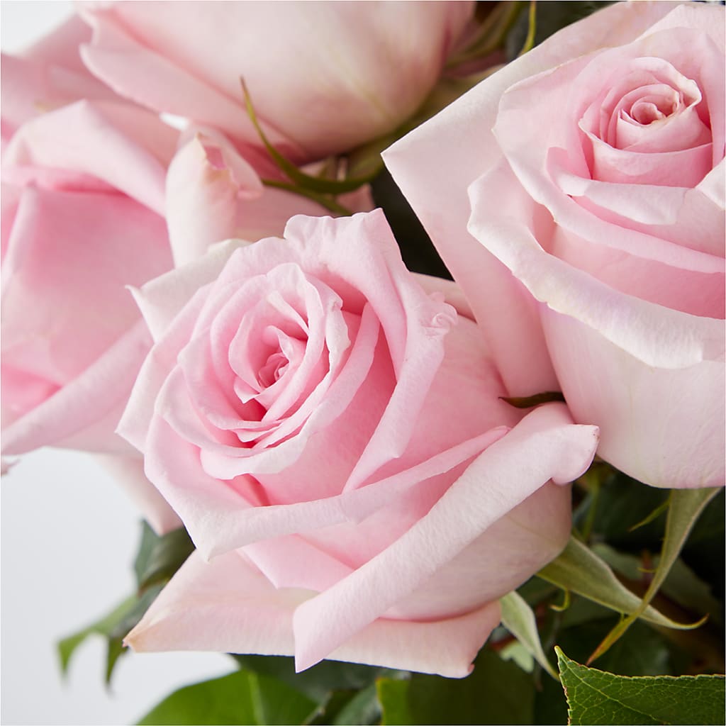 Picture Perfect Pink Rose Bouquet –  Garlington Florist, New Bedford MA