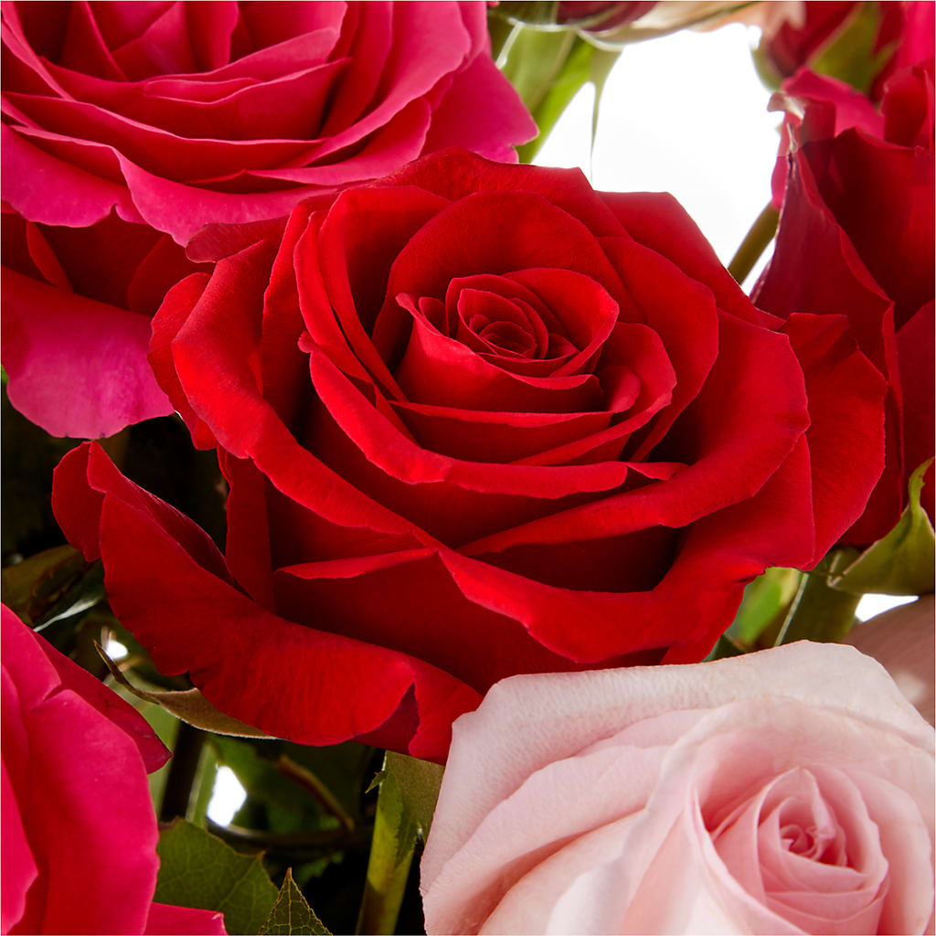 Love Notes Rose Bouquet –  Garlington Florist, New Bedford MA