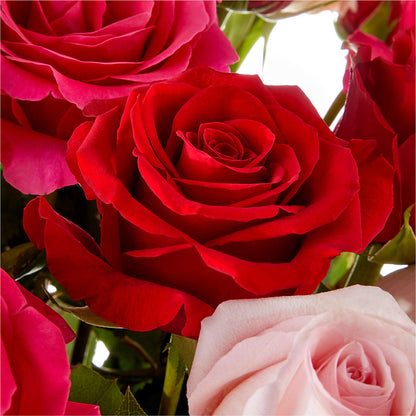 Love Notes Rose Bouquet –  Garlington Florist, New Bedford MA